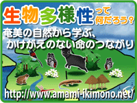 生物多様性ってなんだろう？奄美の自然から学ぶかけがえの無い命のつながり