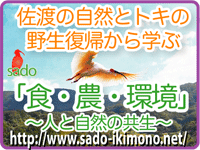 佐渡の自然とトキの野生復帰から学ぶ