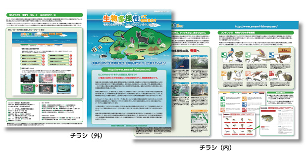 生物多様性って何だろう？奄美の自然から学ぶかけがえのない命のつながり（PDF）